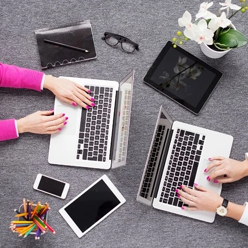 Bozdoğan Web Tasarımcı